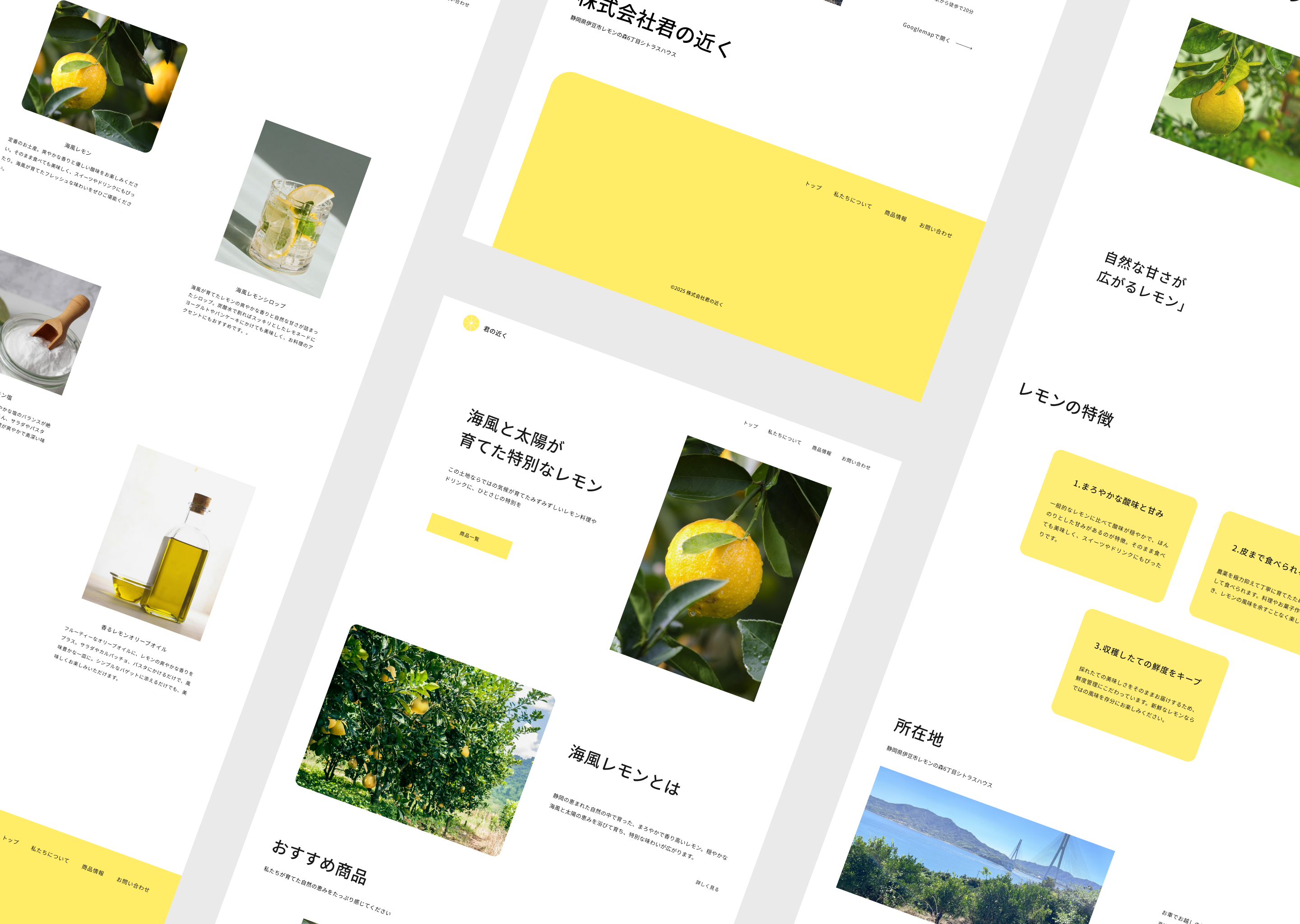 thumnails of the project
